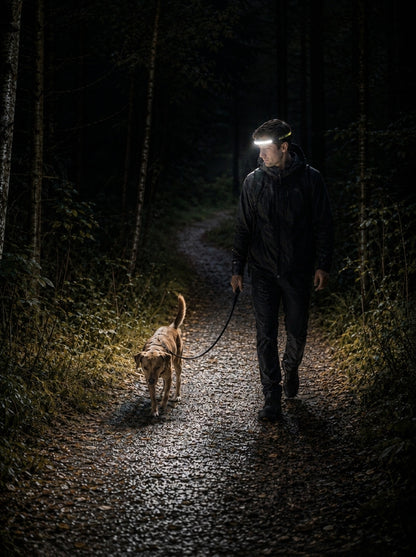 Person med hund på skogsstig i mörker, pannlampan lyser upp stigen